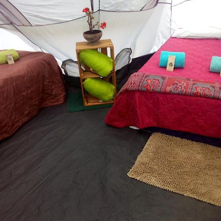 Camping & Travel Antigua Εξωτερικό φωτογραφία