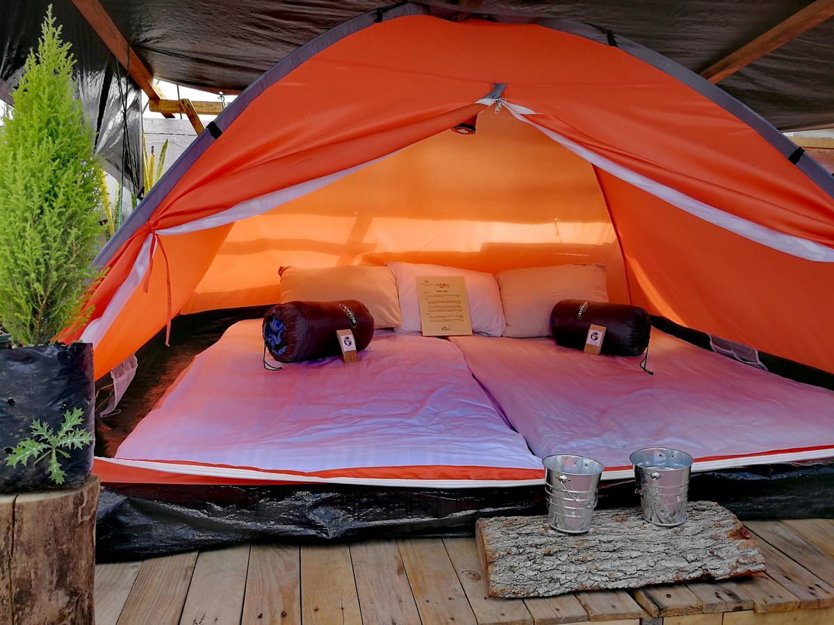 Camping & Travel Antigua Εξωτερικό φωτογραφία