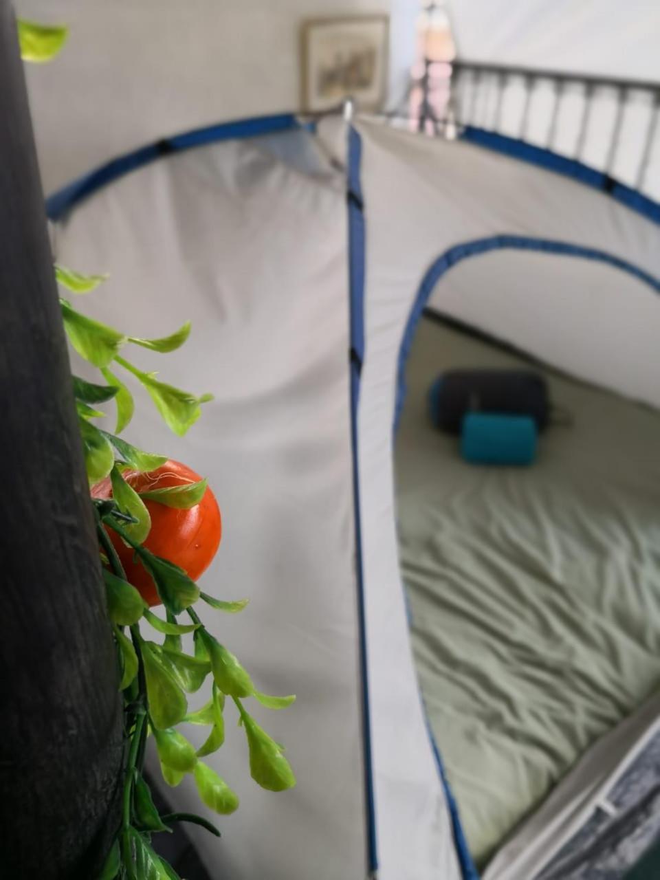 Camping & Travel Antigua Εξωτερικό φωτογραφία