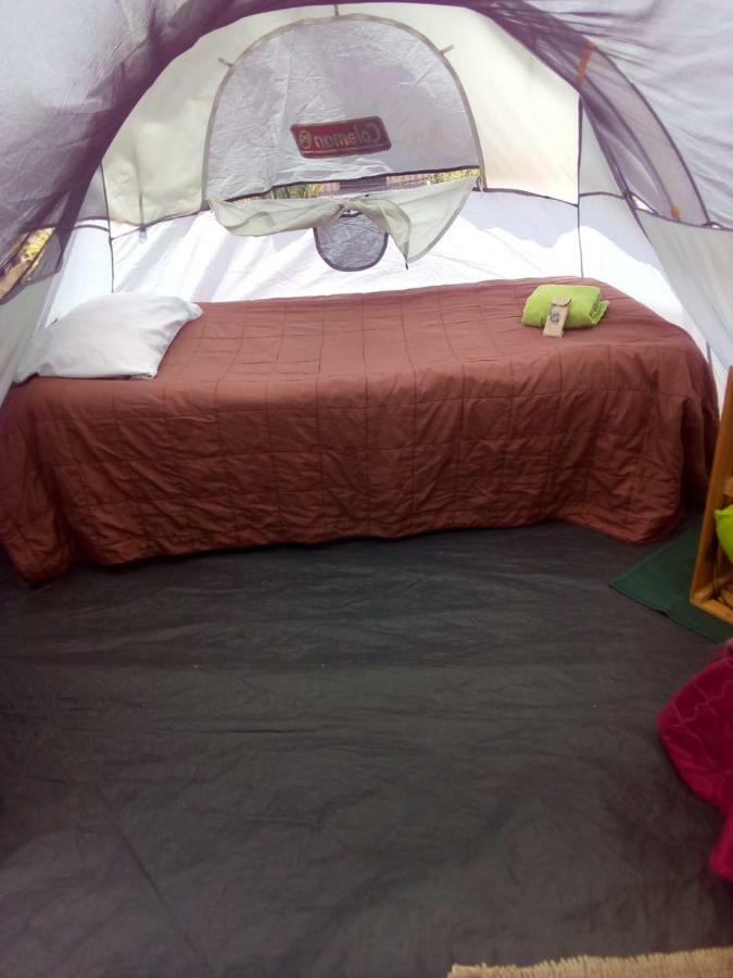 Camping & Travel Antigua Εξωτερικό φωτογραφία