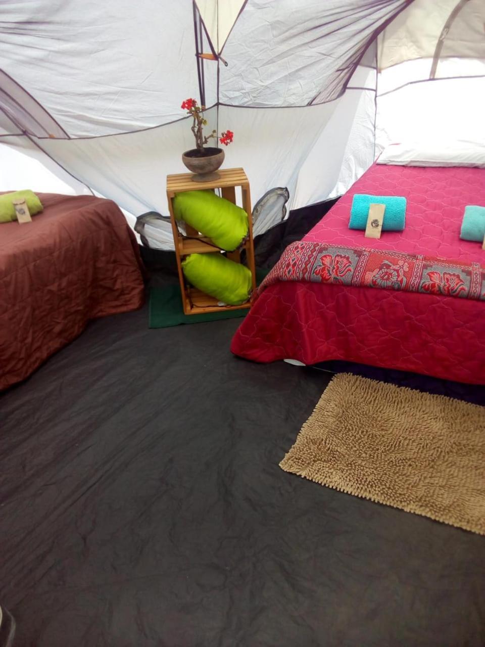 Camping & Travel Antigua Εξωτερικό φωτογραφία